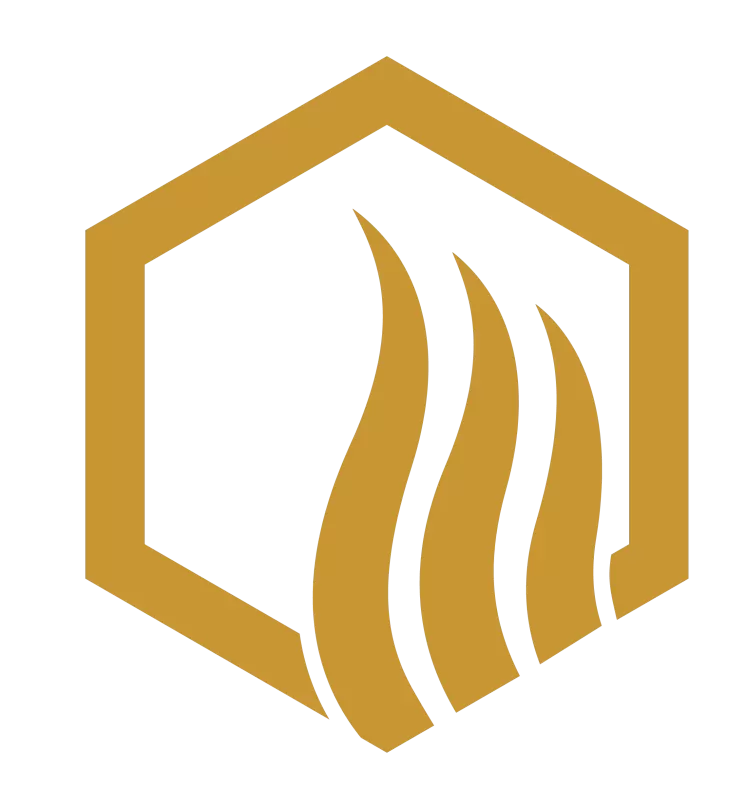 Protega - Automatic Fire Supression Systems