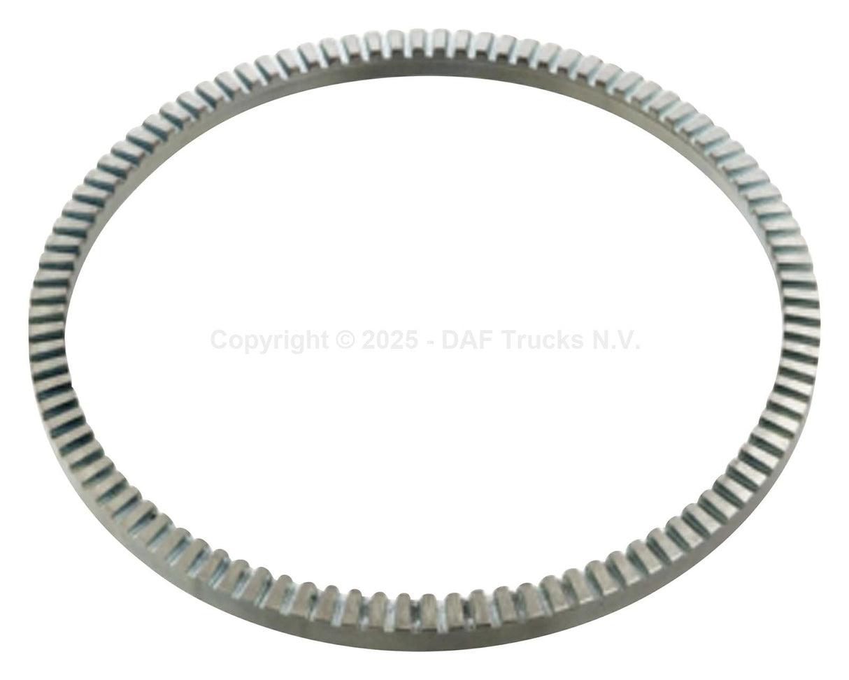 ABS ring rear