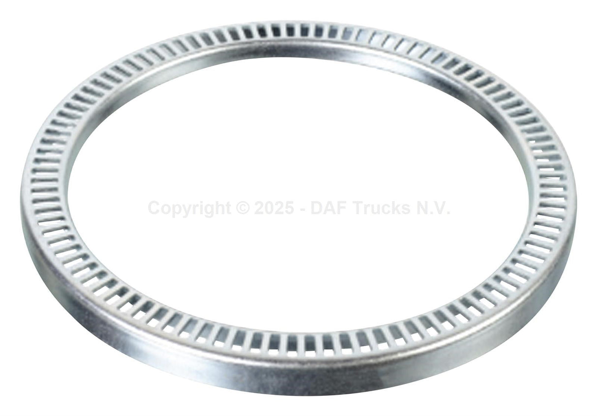 ABS ring rear