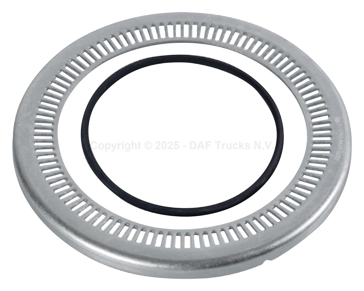 ABS ring rear