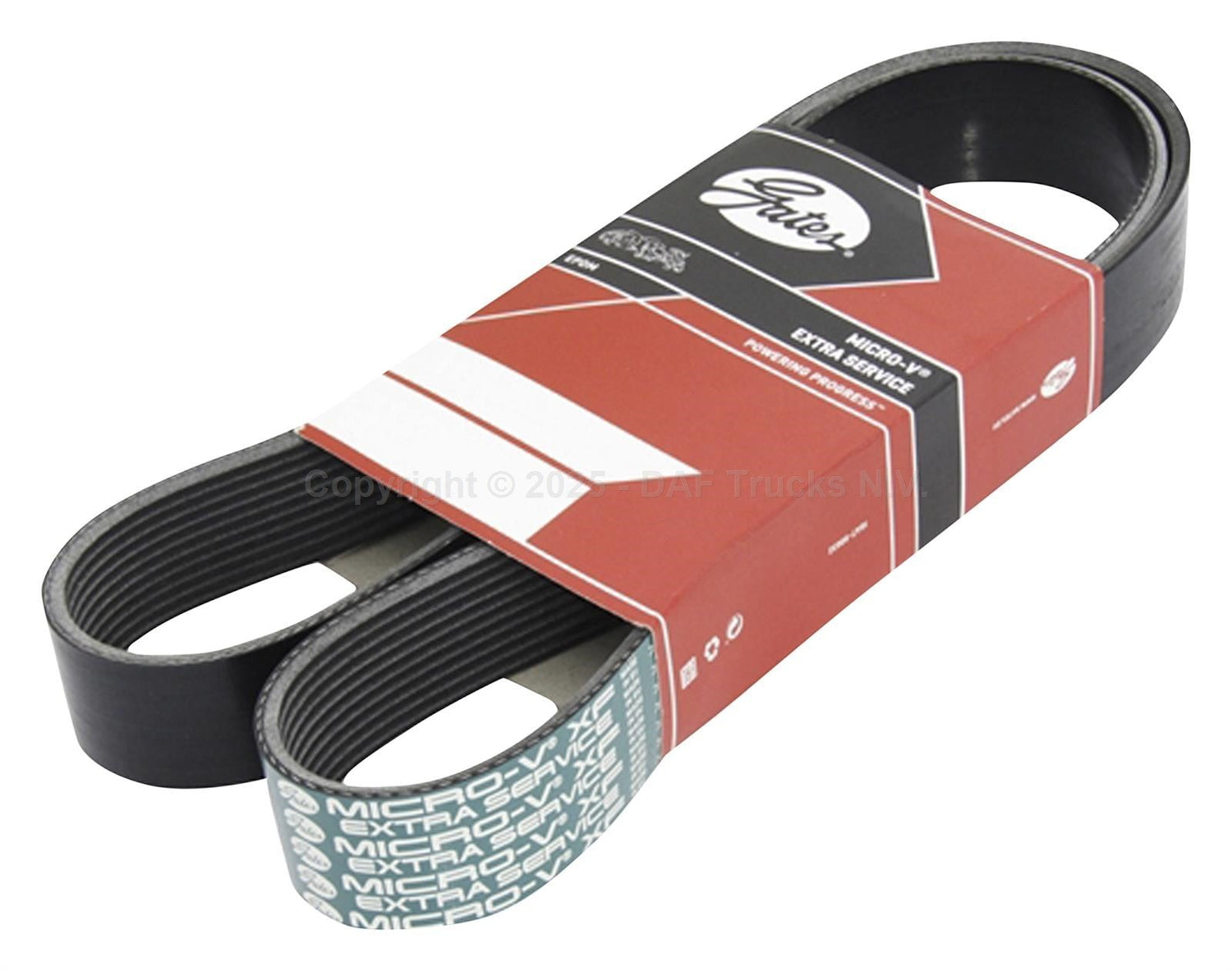 Belt