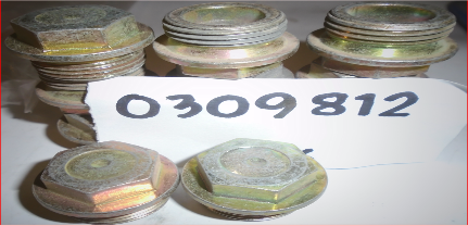 DRAIN PLUG - 309812