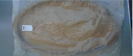 RINGER,FLYWHEEL(F85) - 1313871