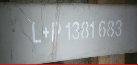 مجموعة أوراق الربيع 85.380 - 1381683