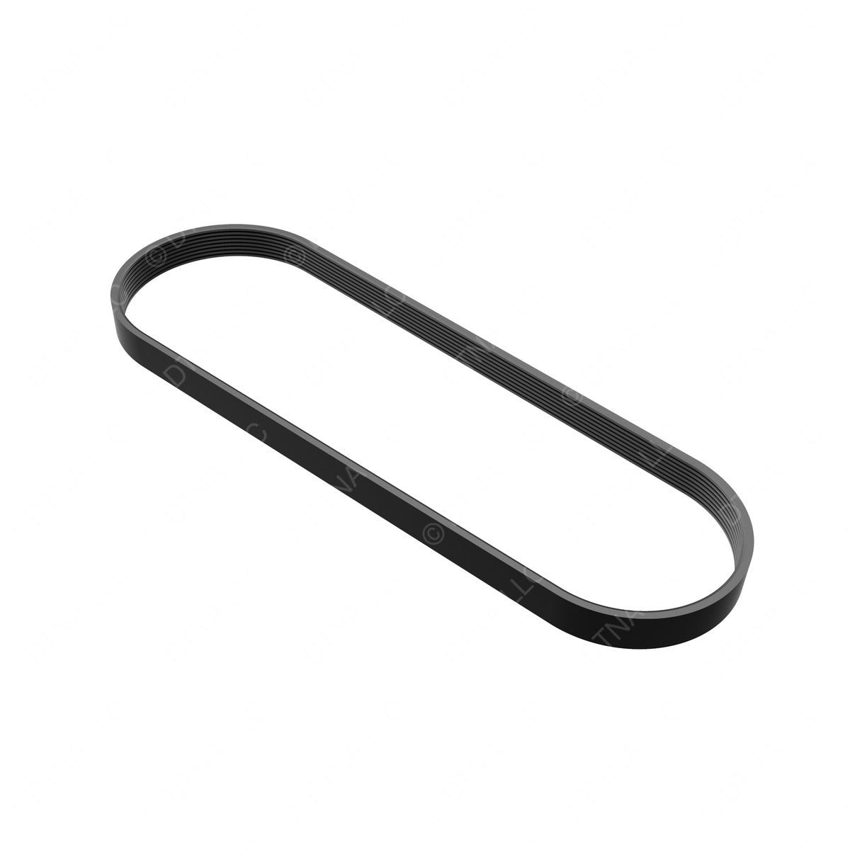 BELT-RIBBED,8 RIB,1445MM