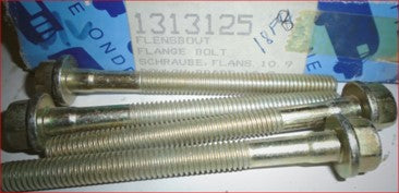 1313115 (FLANGE BOLT)