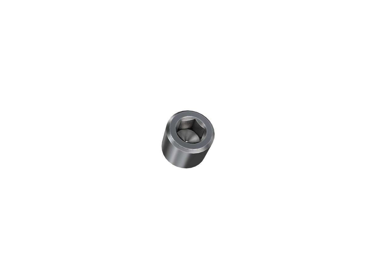 NPZ inlet element plug