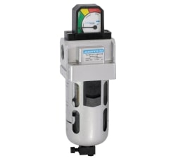 Filter with service indicator - 1/2, 3/4, 1"