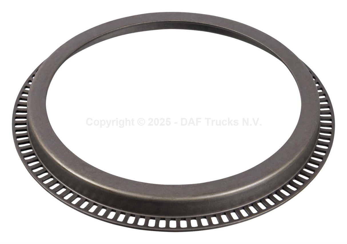 ABS ring rear